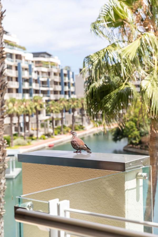 204 Juliette Apartment Cape Town